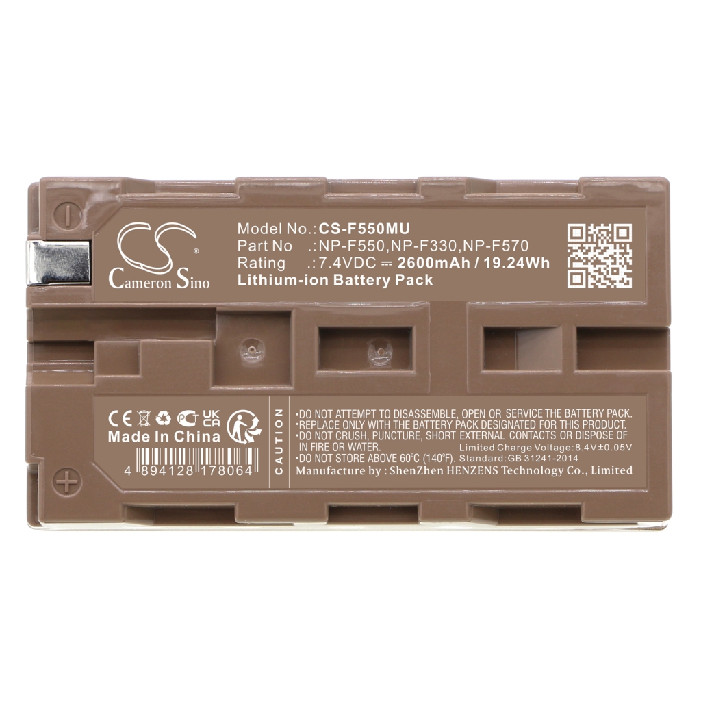 Camera Battery Panasonic NV-DX100EG