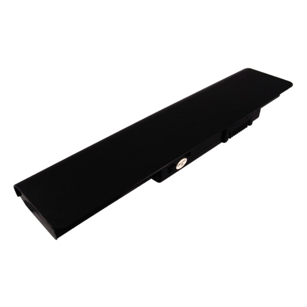 Asus N45E